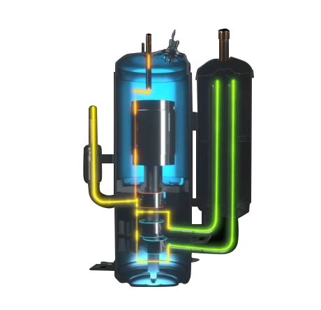 rb88随行版_官网官网入口