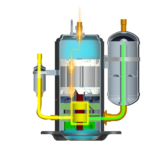 rb88随行版_官网官网入口